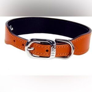 New Hartman & Rose 1413 Plain Nickel Plated Dog Collar 8-10”, Leather, Orange